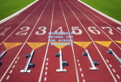 德转最新身价榜揭示足坛国力新格局，三狮军团领跑，桑巴军团紧追，亚洲力量崛起引关注