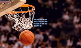 国乒包揽WTT大满贯五冠 马龙樊振东巅峰对决引热议 巴黎奥运备战再添信心