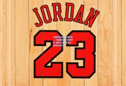 埃基蒂克畅谈锋线传承，与斯图里奇比较是荣幸 盛赞与维尔茨场上默契浑然天成