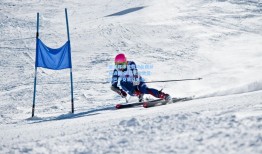 波兰媒体披露转会费分成进展 莱万老东家受益巴萨交易引关注