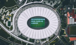 德约科维奇强势晋级温网四强 冲击第24座大满贯冠军
