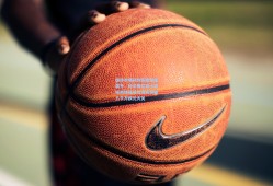 德转市场预热新星估值飙升，帕尔梅拉斯小将埃斯特旺身价或将突破八千万欧元大关