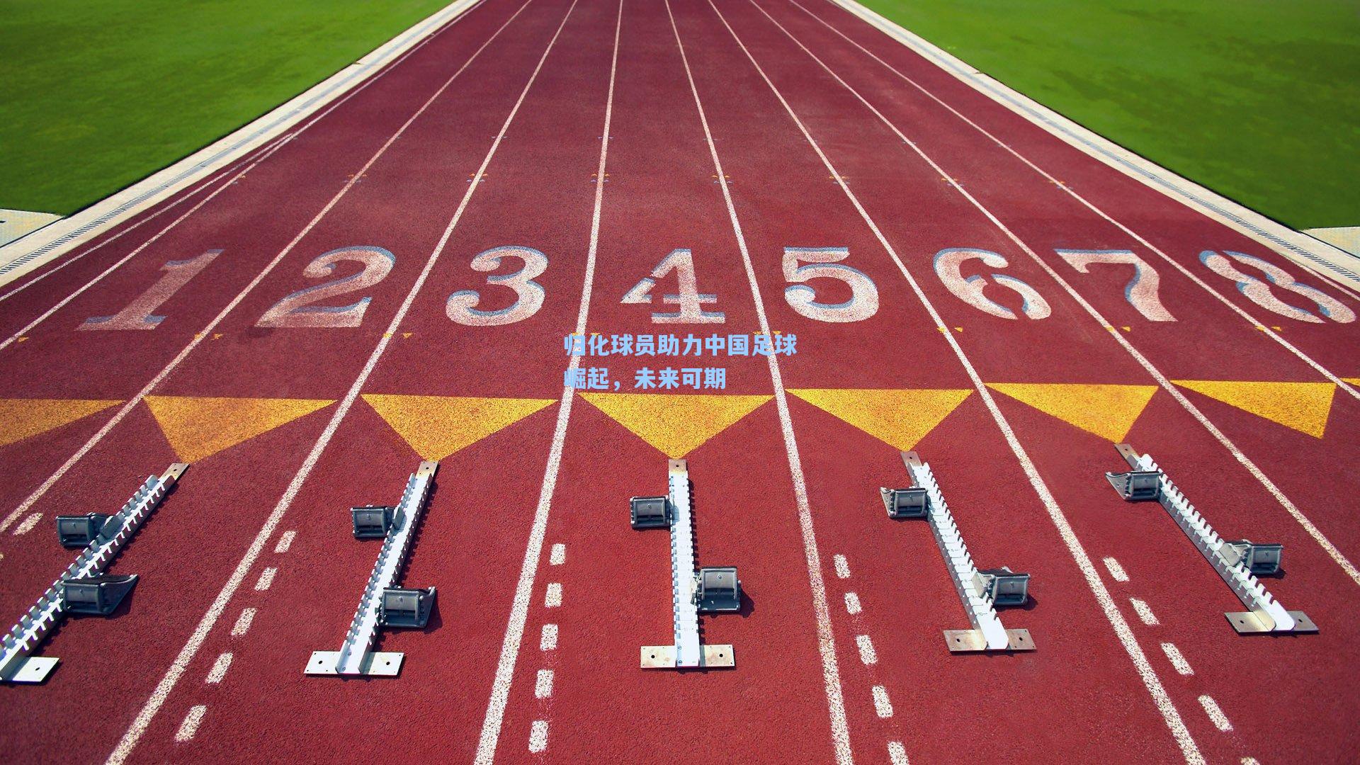 归化球员助力中国足球崛起，未来可期
